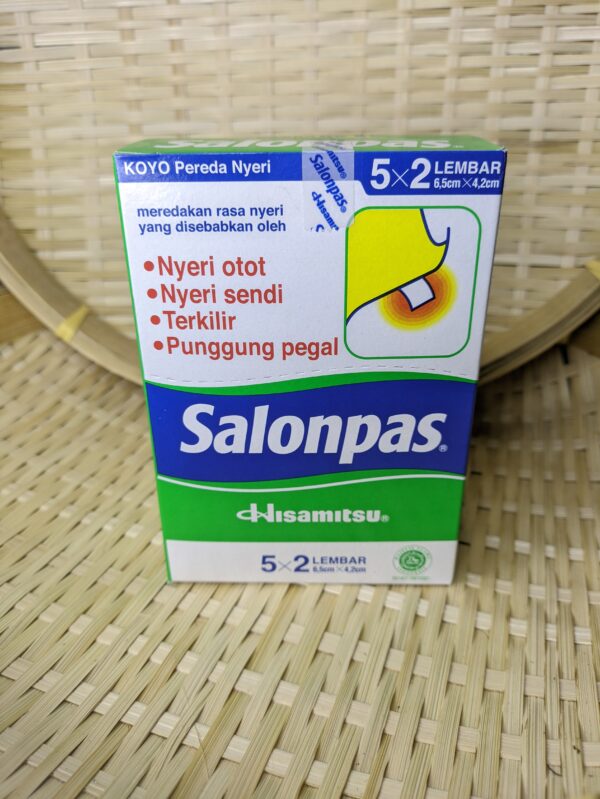 Salonpas Hisamitsu 20pack